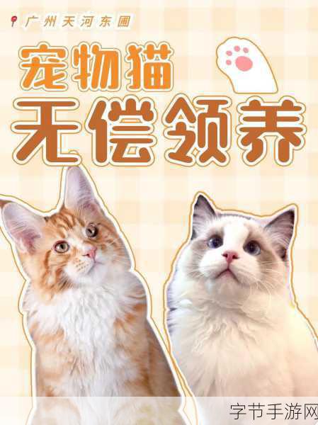 小猫爱消除无限金币版来袭，畅享休闲消除新乐趣！