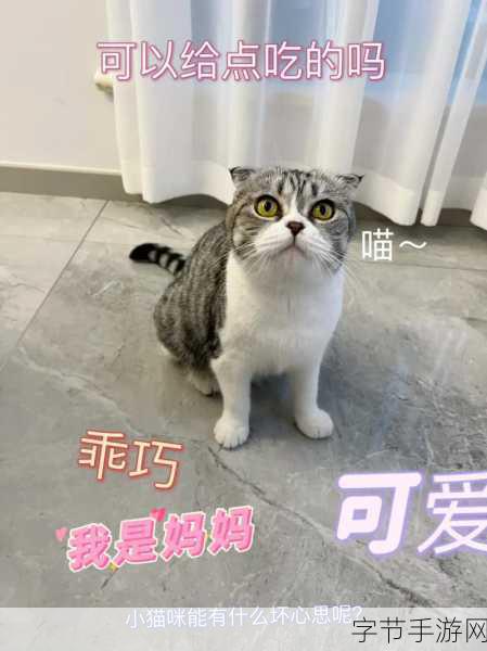 萌宠新纪元,养只宠物球安卓版下载,休闲养成乐趣无限