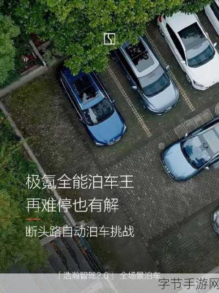 停车达人王，挑战你的驾驶技巧，成为泊车王者！