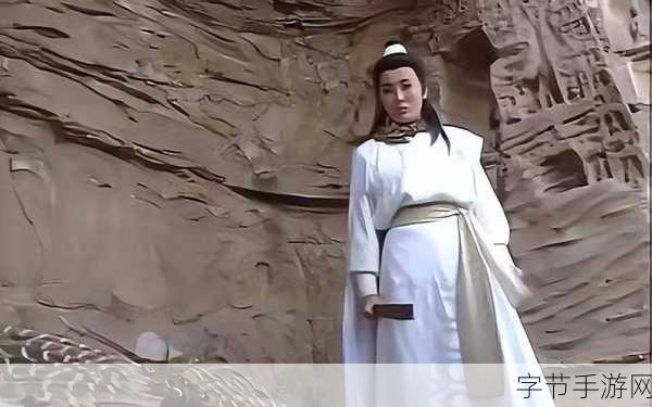 大侠立志传，勇闯四贤风流阵秘籍😜