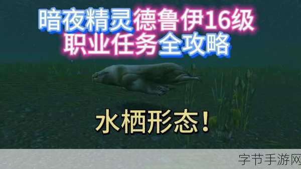 探索魔兽世界,德鲁伊变熊任务全解🎮