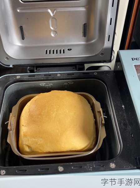探索废土 3 神秘技能,面包机专家的奇效😜