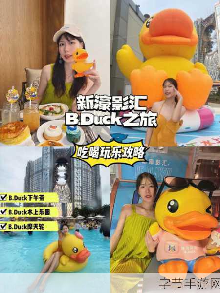 边境之旅,探寻羽毛的奇妙之旅🎈