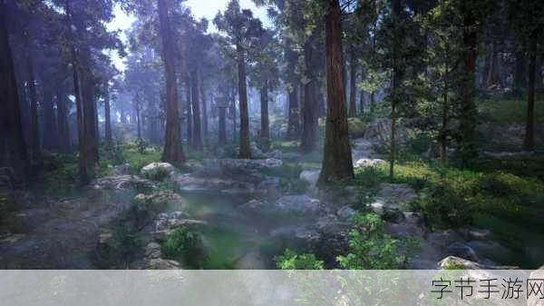 探索黑色沙漠,自动拒绝邀请的秘诀😜