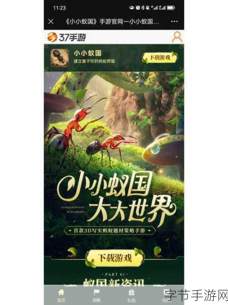 探索微观世界，领略蚁群风采，小小蚁国下载指南及深度解析
