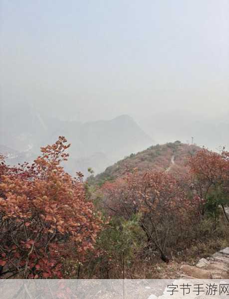 方寸对决之探秘药王谷,药王谷的神秘入口等你来揭开😜