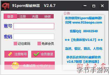 91破解-91破解策略全解析：揭秘背后的技术与方法