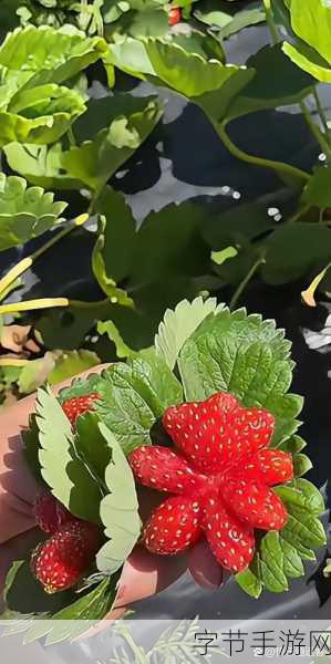 草莓视频vip-畅享草莓视频VIP特权，尽情观看海量精彩内容！