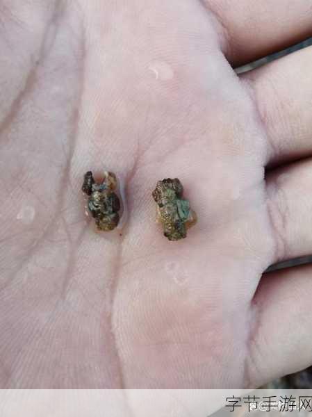 小洞饿了要吃东西-小洞饿了，快来品尝美味的食物吧！