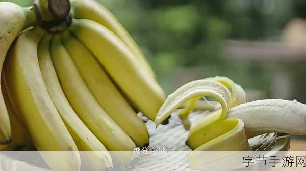 香蕉视频app在线看:探索香蕉视频APP:畅享精彩影视内容的全新体验