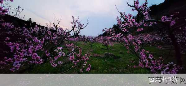 重游母亲桃花源-重游母亲桃花源：回归故乡的温暖与思念之旅