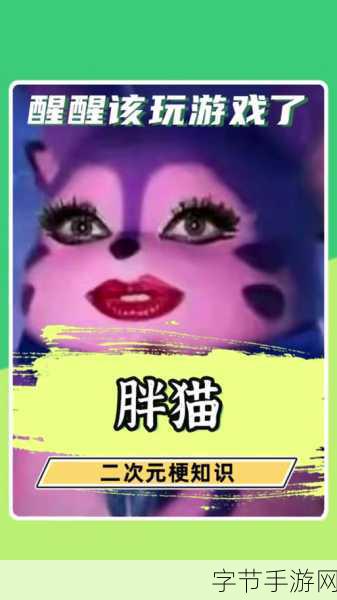 51热门大瓜今日大瓜最新胖猫-今日大瓜:胖猫成网红,背后隐藏的故事让人惊讶!