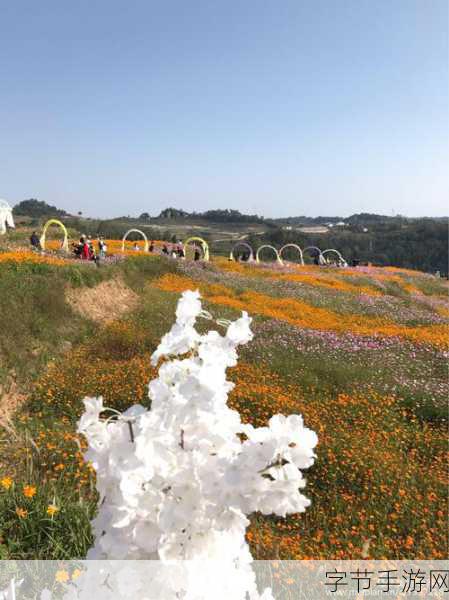 爱情岛1号线和2号线测速宣布重新开放,网友：久违的记忆!-猫牙软件园-爱情岛1号线与2号线测速重新开放，网友感慨怀旧记忆涌现！