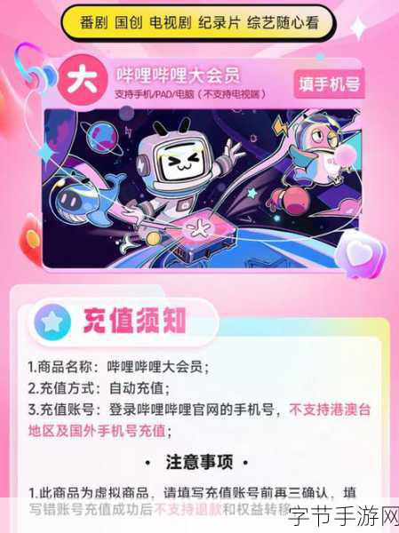 免费夜里十8禁用b站app网页-探索无门槛夜间畅享B站APP的最佳替代方案