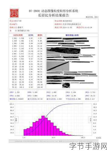 大长径-全面解析大长径的重要性与应用领域探讨