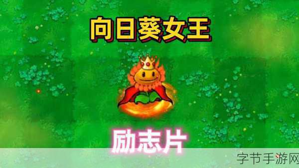 向日葵视频站长-探索向日葵视频平台的无限可能与精彩内容分享