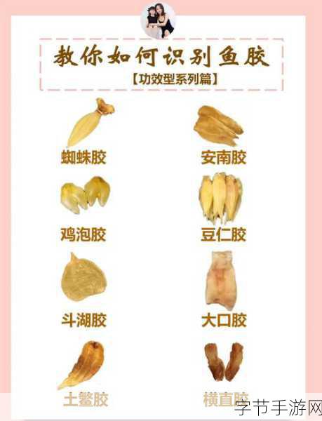 动物胶配方高清大全-全面解析各种动物胶配方及其应用技巧高清大全