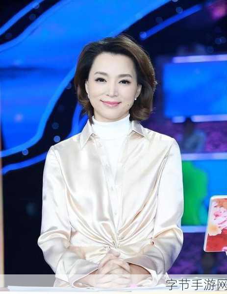 董聊为啥被央视解聘-董聊被央视解聘的背后原因探讨与分析