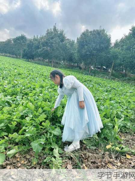 光腿拨萝卜-光腿拨萝卜:春日田野里的自然乐趣与美好时光