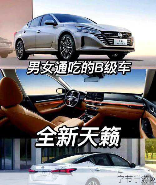 国产日产欧产美又大又黄的功能介绍-深入解析国产、日产、欧产、美产汽车的丰富功能与优势