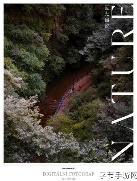 精东传媒视频-精东传媒独家视频:探索创意与技术的完美结合之旅