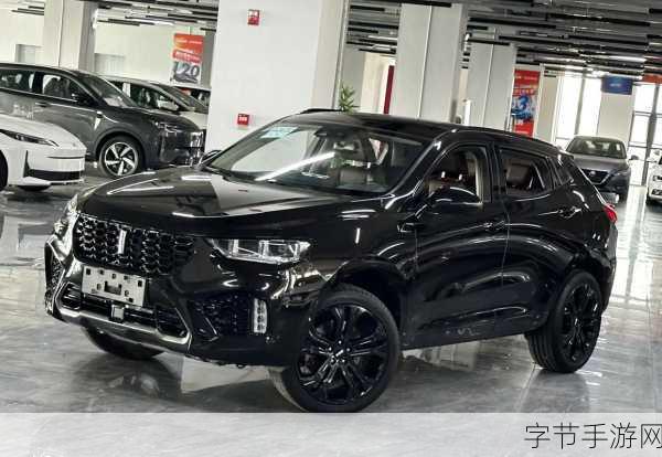 weyvv5国产成人精品的视频-探索韦维V5:国产成人精品视频的全新体验与魅力