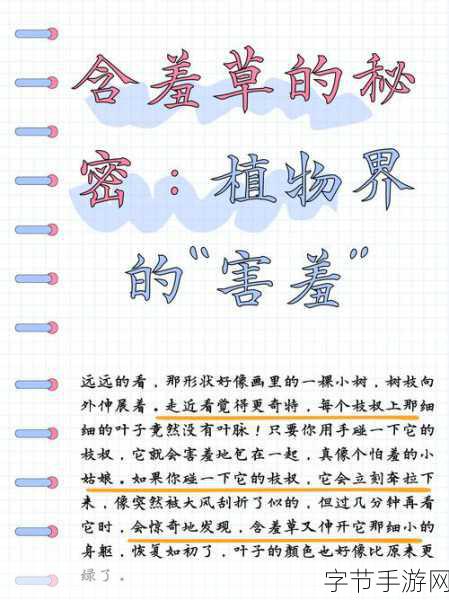 含羞草2024隐藏途径-探索2024年含羞草的隐藏生长路径与养护技巧