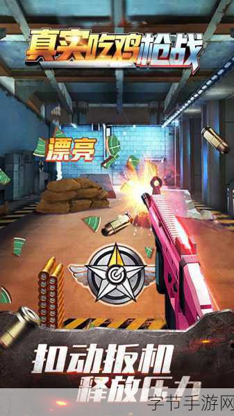 混乱枪战修改版来袭，动漫风动作射击新体验！