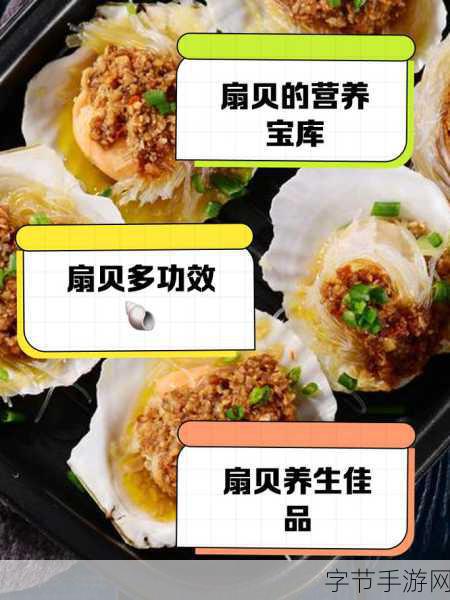 两个 一个扇贝-探寻扇贝的美味世界：从海洋到餐桌的旅程