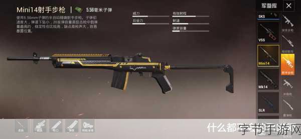 SKS和mk14-“深入解析SKS与MK14步枪的历史背景及技术特点”