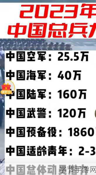 国家真的又召回军人了吗-国家再次启用召回军人政策,引发广泛关注与讨论