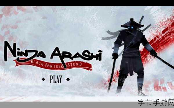 忍者武士岚2，无限钻石版热血格斗新体验，冒险之旅等你来战！