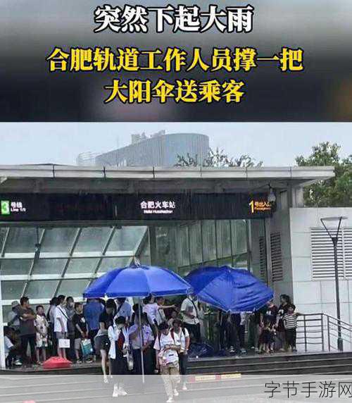 大熊猫捡到游客的伞还给撑开了-大熊猫意外捡到游客伞,暖心将其撑开展示可爱一幕