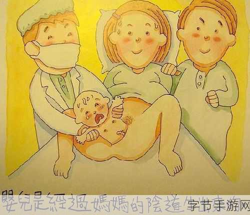 拨萝卜打扑克生猴子-在欢乐的午后,拔萝卜打扑克乐翻天。