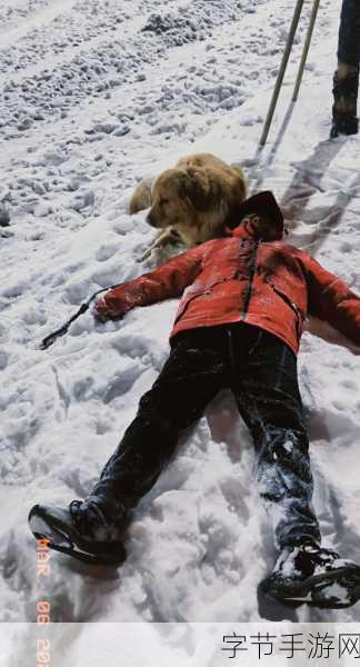 玩人狗大战的实现方法-探索人狗大战的多样玩法与实现策略详解
