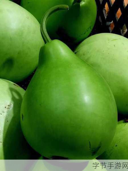 91今日必吃大瓜-“今日91必吃美味瓜，舌尖上的诱惑不可错过！”