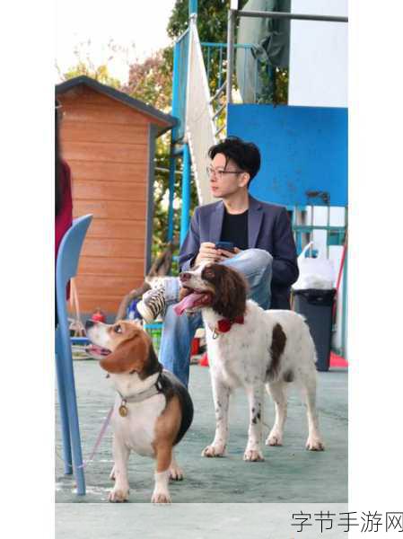 老友狗狗1.00.17，打造你的梦幻狗狗农场之旅