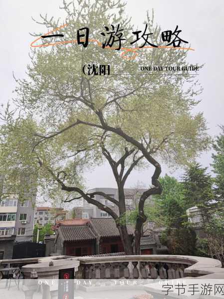 沈阳45岁这声音也没谁了-沈阳45岁，独特声音尽显城市魅力与人生智慧