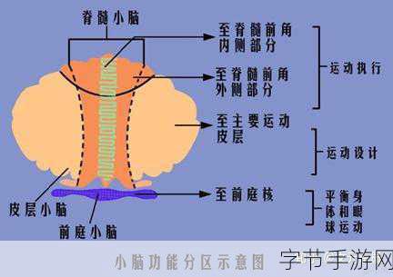 abw实验4痉挛口吐白沫是谁-ABW实验4:探秘痉挛与口吐白沫的科学背后