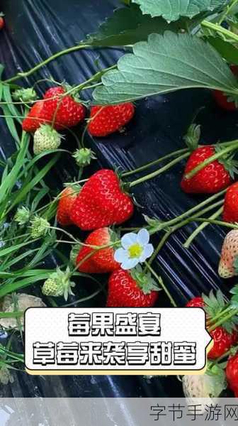 7160草莓视频最新在线观看-畅享7160草莓视频，尽情观看精彩影视内容的最佳选择！