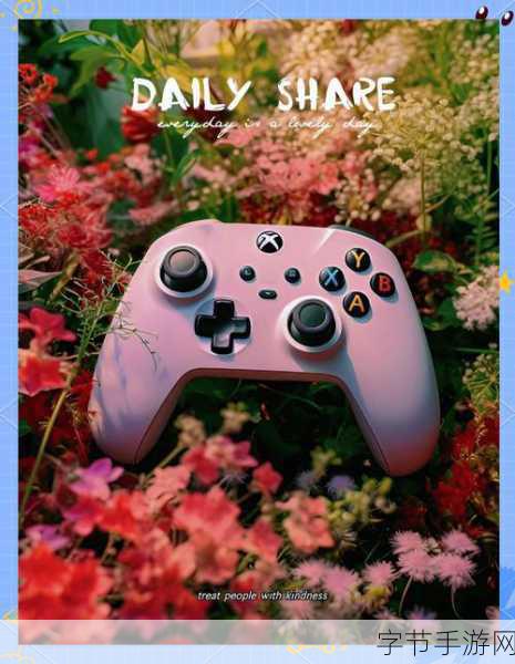 探索迷雾之锚的神秘获取之道🎮