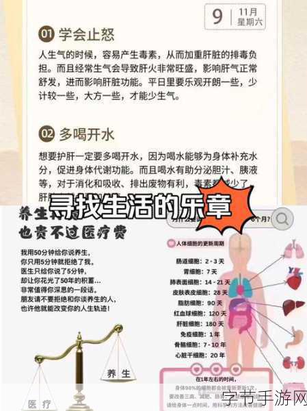 养生也能成游戏?探索养生大师的奇妙之旅